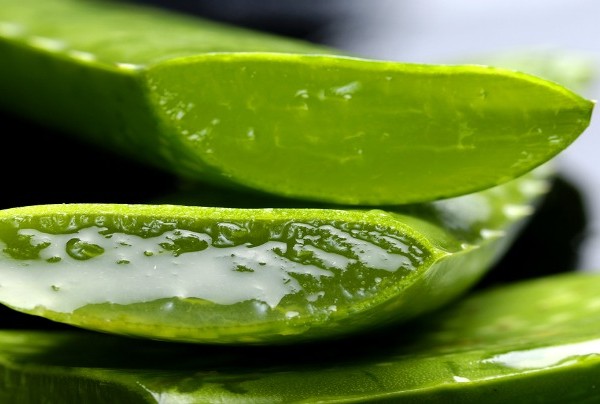 Sugars that are good for you from the aloe vera plant – part 4