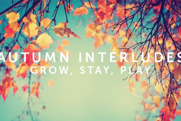 Autumn Interlude Incentive