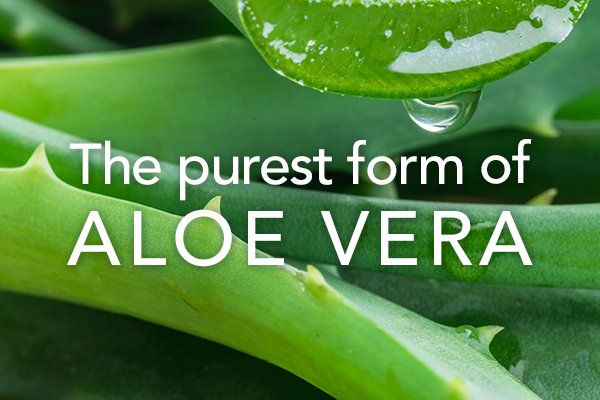 The purest form of Aloe Vera