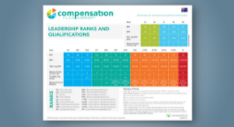 Compensation Plan Summary AUS